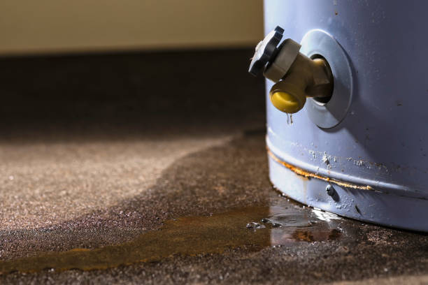 Best Commercial water damage restoration  in Croswell, MI