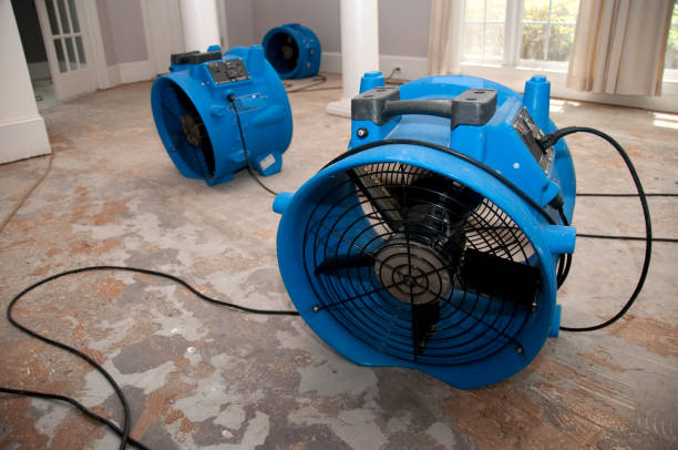 Best Basement water damage restoration  in Croswell, MI