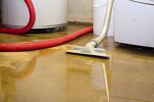 Best Water damage restoration near me  in Croswell, MI