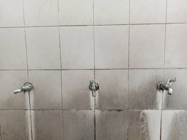 Best Carpet water damage restoration  in Croswell, MI